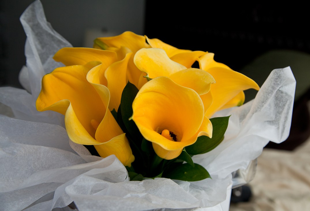 Victoria-Rose-Photography-London-ON-Wedding-Photography04